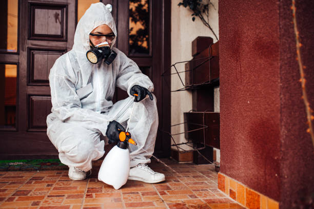 Reliable Bed Bug Control contractor in Stryker, OH by Nex Pest Control